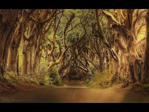 オープニング YouTube