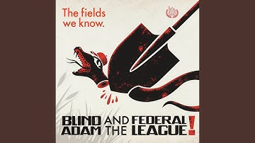 We Are Everywhere (feat. Bek Graham & Ty Dykema)