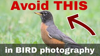 Avoid This In Your Bird Photography