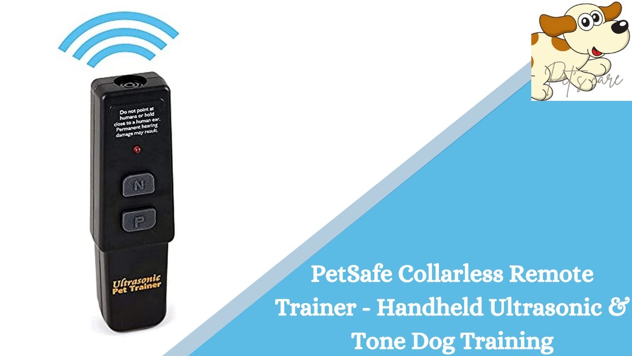 collarless dog trainer