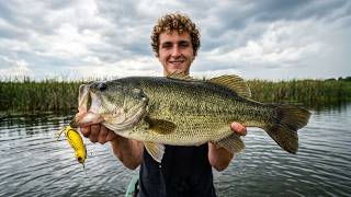 Rat vs Duck Lure Fishing Challenge