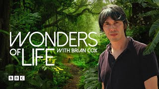 Wonders of Life with Brian Cox | BBC Select