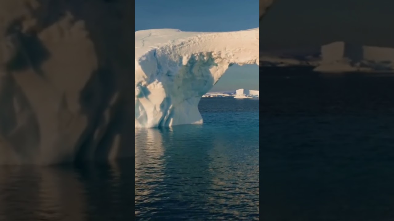 Mind-Blowing Facts About Fish 🐟 