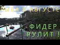 Фидер рулит! Рыба в августе! Feeder on top! Fishing in August!