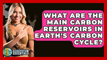 What Are The Main Carbon Reservoirs In Earth
