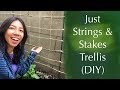 How to Make String Trellis