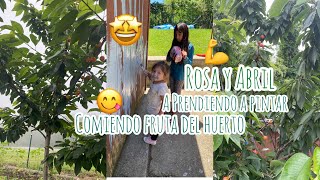 ROSSI Y APRIL👭 APRENDIENDO A PINTAR Y COMIENDO FRUTA 🍒DEL HUERTO🌳