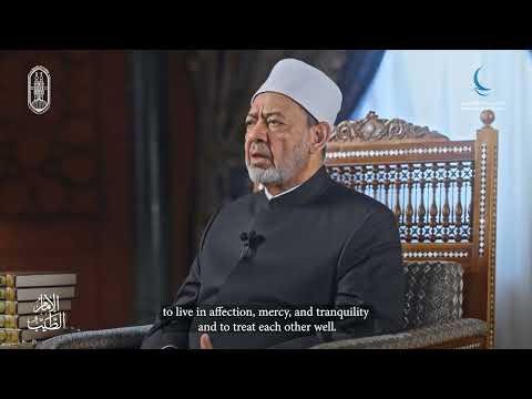 الإمام الأكبر يتحدث عن الضرب هو علاج لمرض النشوز