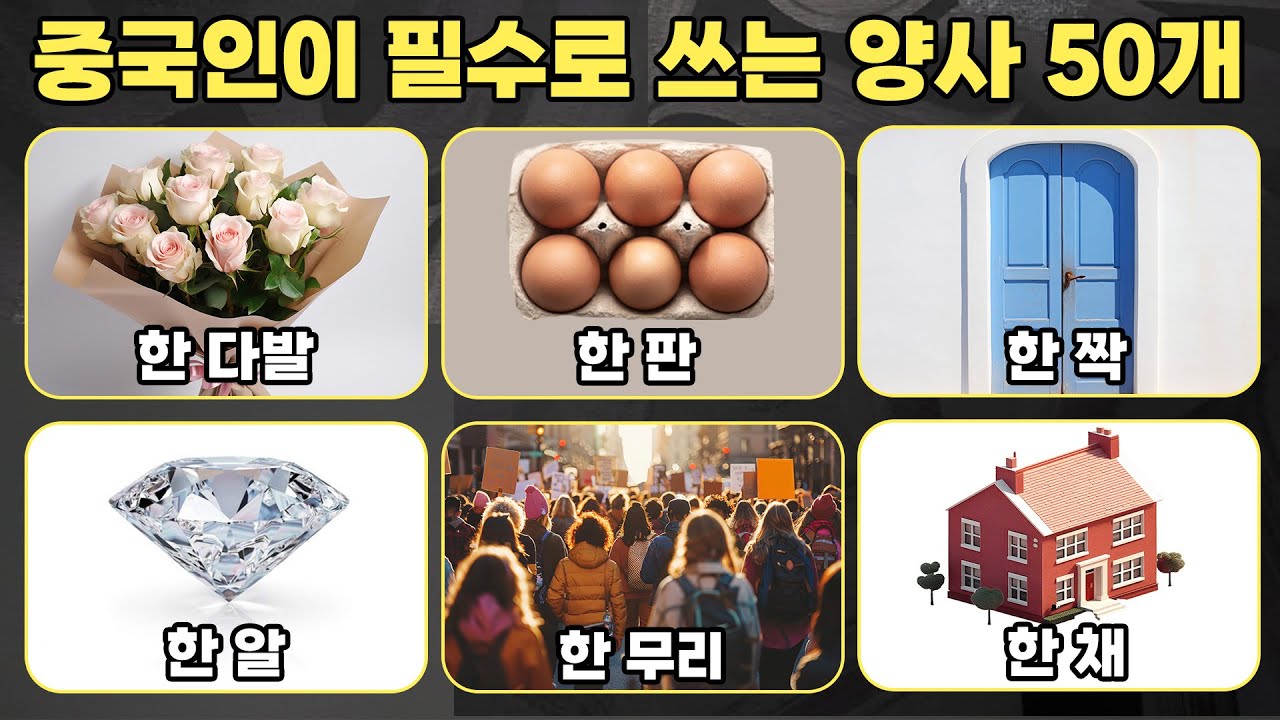 원어민이 밥 먹듯이 쓰는 양사 50개ㅣ네이티브력 급상승📈