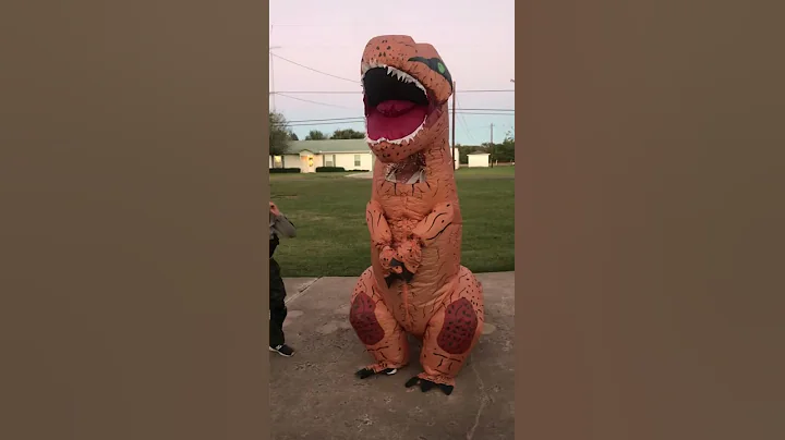 Dino Getup