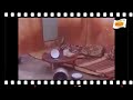 مقطع مضحك جدا تشلحيت