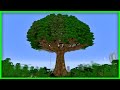 I Finished Iskall's Omega Tree from Hermitcraft 7 | SPEED RUN
