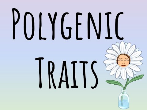Video: Care dintre următoarele trăsături la oameni este controlată de poligene?