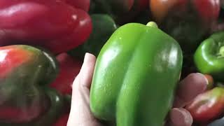 видео: Заморозки, Спасаем перец !!! картинка: Заморозки, Спасаем перец !!!