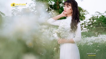 Nơi chụp ảnh cúc họa mi đẹp | HN Studio - Chuyên chụp ảnh cúc họa mi giá rẻ trọn gói - 0961044488