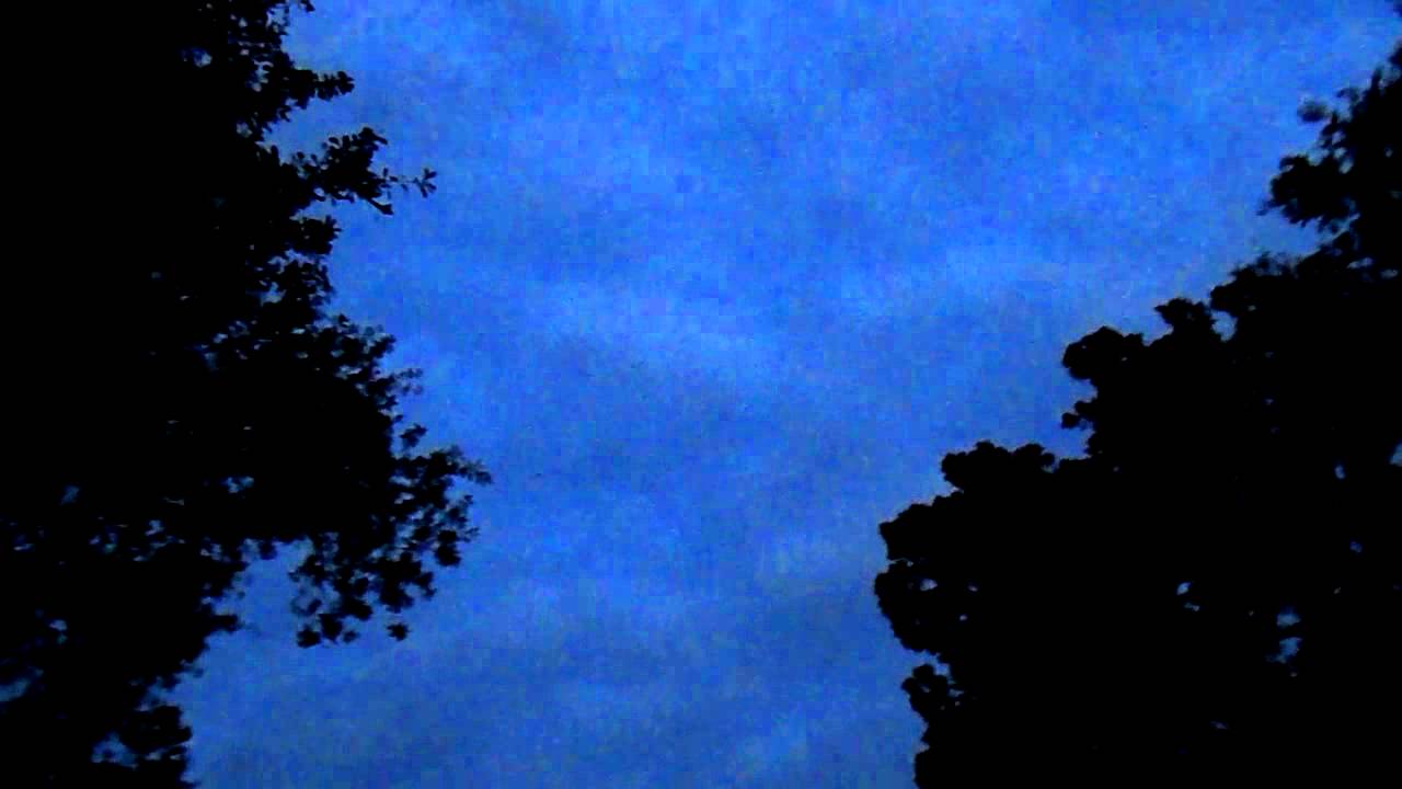 asmr - morning cicadas