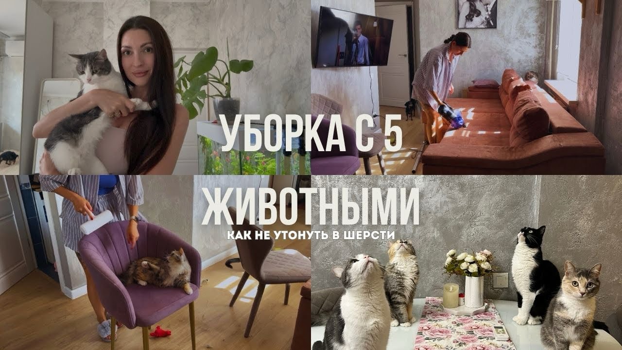 ЖИЗНЬ И УБОРКА С 5 ЖИВОТНЫМИ🥹 КАК НЕ УТОНУТЬ В ШЕРСТИ😁 МОТИВАЦИЯ НА УБОРКУ🔥