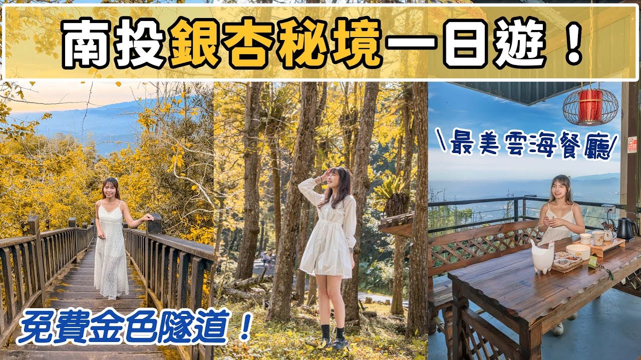 南投銀杏搶先看！免費金黃隧道？秋季限定！在夢幻雲海裡泡茶吃火鍋！270度美景盡收眼底！巧遇漸層火紅晚霞渲染大崙山！📍好想去南投