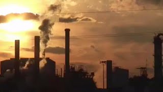 Nearly half of Americans exposed to unhealthy levels of smog and air pollution, study says