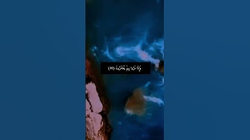 القارئ • اسد حمود#قرآن #اكسبلور #المصحف #إستمع #لايك