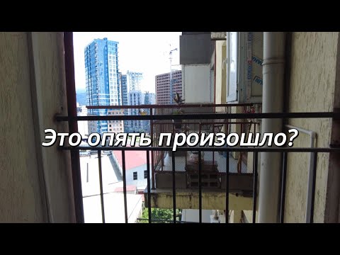 24.07.2025 VLOG: Снова нет воды??? Что происходит!? Будни в Грузии
