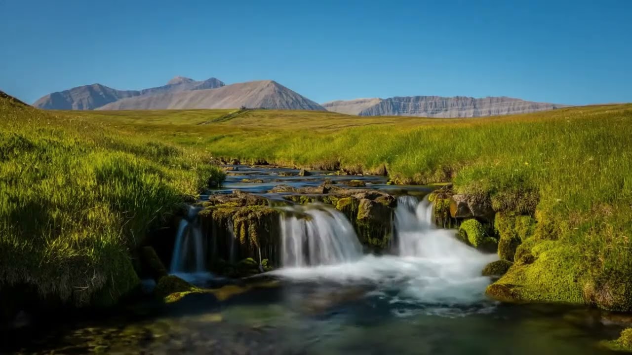 Soothing Calm Forest Sounds Early Morning 🪻 Gentle River Sound and Birdsong, Turquoise River Stream