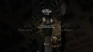 Earning halal رزق while remembering Allah is also part of worship.. | 2:198|@ayesha_ch_191|
