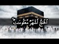 وأتموا الحج والعمرة لله الآيات 196 203 من سورة البقرة للشيخ ياسر الدوسري وأتموا الحج والعمرة لله الآيات 196 203 من سورة البقرة للشيخ ياسر الدوسري