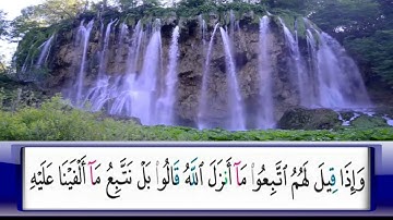 الربع      10/ الشيخ محمد جبريل / من سورة البقره