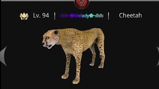 Wild Animals Online - I found a fake me *READ DESC IMPORTANT!!!*