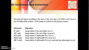 Bit Conditional Jump Instructions