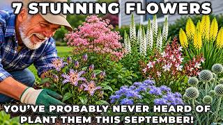 7 Stunning Flowers You’ve Probably Never Heard Of — Plant Them This September!
