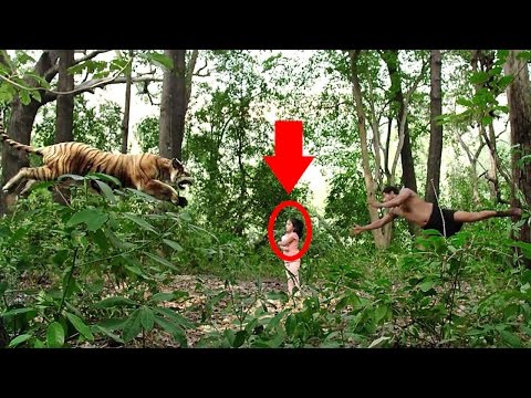 Vanamagan Story Prediction | Tamil Cinema Latest News | Cineliker