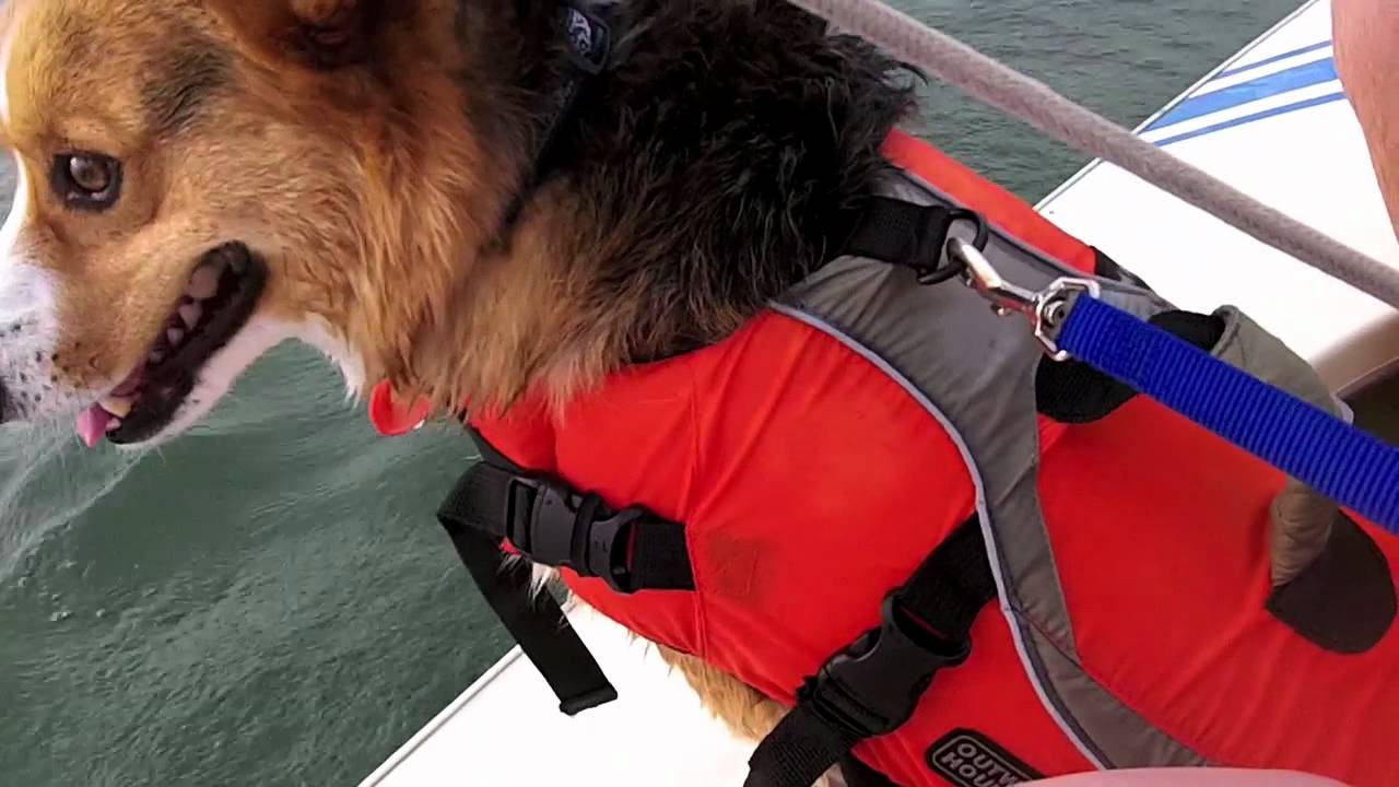 Sailblog: June 2nd, 2011 - Episode 1