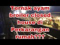 ternak Ayam broiler dengan sistem closed house rumahan