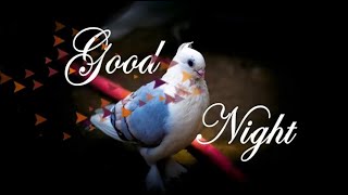 Good Night WhatsApp Status, Messages, Quotes, Images, SMS, Wishes, Video #GoodNight Night Messages screenshot 3