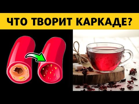 Даже 1 стакан Каркаде вызывает необратимые процессы в организме человека