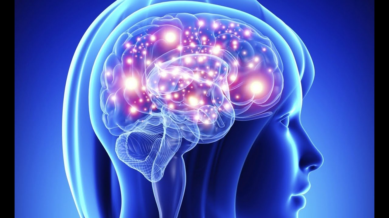 Домино. Запомни фишки