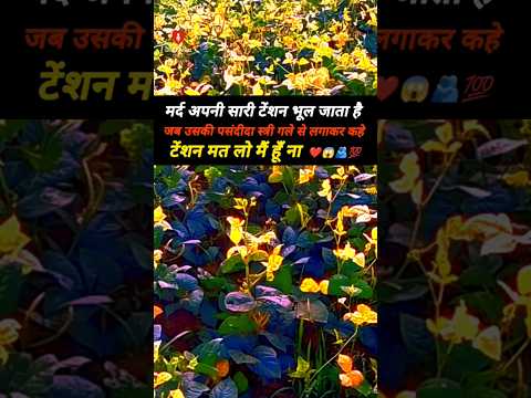 #dao #love #naturenasha #motivation #khansir #nature #viral #beatifulnature #emotionalstory
