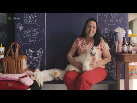 Cuidados importantes com os pets no verão Cuidados importantes com os pets no verão