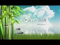 Pranan Povolam Jeevan Thannone | Malayalam Christian Worship Songs Manna Television Mp3 Song