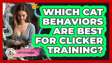 Which Cat Behaviors Are Best For Clicker Training? - Happy Cat Handbook
