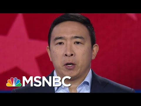 Tulsi Gabbard And Andrew Yang On The Issue Of White Supremacist Violence | MSNBC