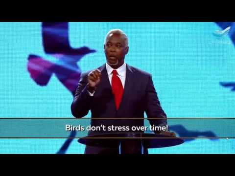 Bishop Dale Bronner :Look At The Birds