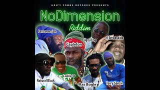 Nodimension Riddim 2019 - Mix Juggling