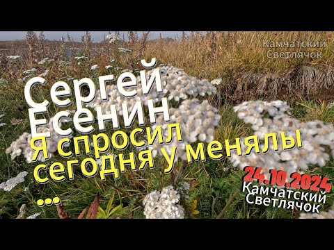 Сергей Есенин - Я спросил сегодня у менялы. Читает Владимир Комаров, Камчатский Светлячок. 24.10.24