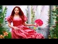 STORYBOOK Fairy Tale Music - Fairy Tale Romance