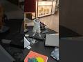 Art Exhibition 1