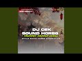Dj Cek Sound horeg (Remix)