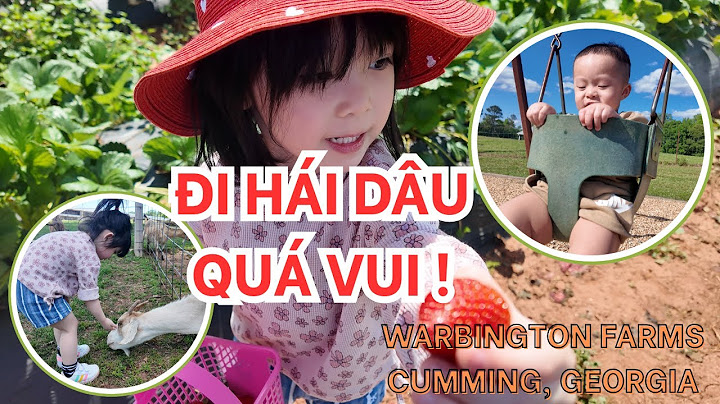 Cuộc Sống Ở Mỹ: Dắt Con Đi Hái Dâu, Trải Nghiệm Sân Chơi Ngoài Trời | Warbington Farms, Bang Georgia